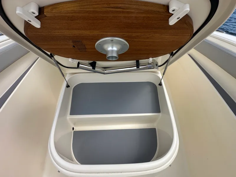 Slide: The Image of Scout 305LXF 2024 - 20