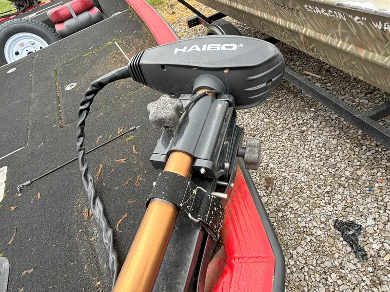 Slide: The Image of Raptor 160 Bass 2020 - 5