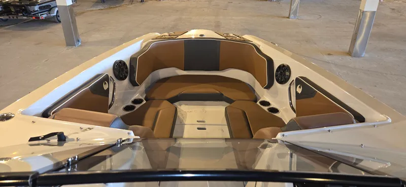 Slide: The Image of Scarab 255 2018 - 10