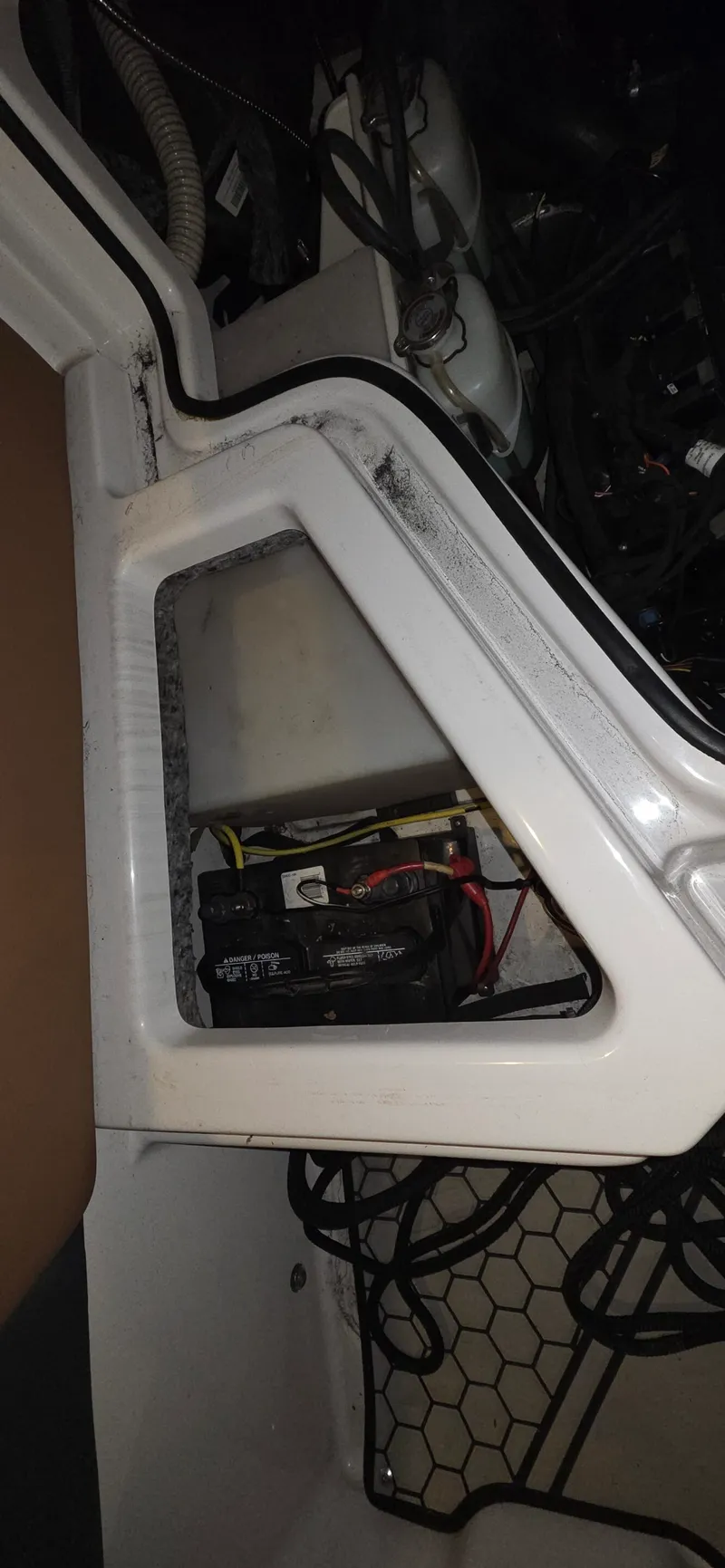 Slide: The Image of Scarab 255 2018 - 17