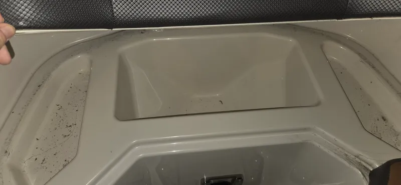 Slide: The Image of Scarab 255 2018 - 18