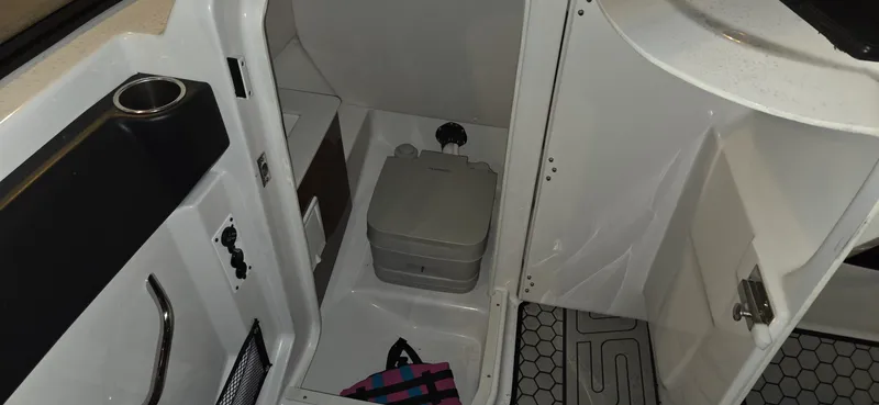 Slide: The Image of Scarab 255 2018 - 20