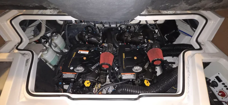 Slide: The Image of Scarab 255 2018 - 21