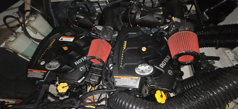 Slide: The Image of Scarab 255 2018 - 22