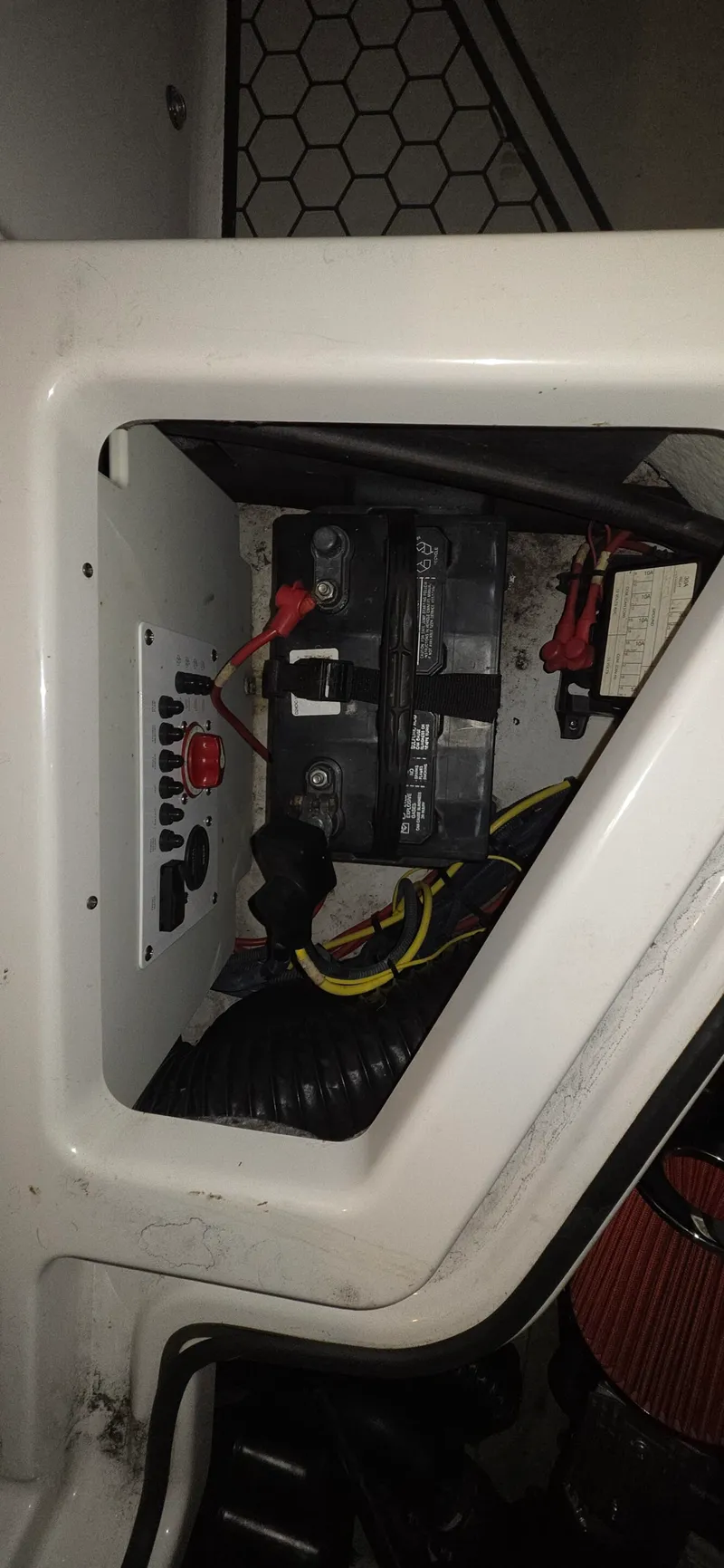 Slide: The Image of Scarab 255 2018 - 23