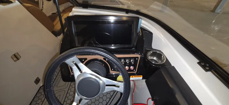 Slide: The Image of Scarab 255 2018 - 3