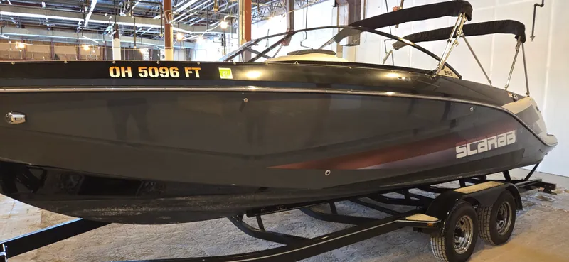 Slide: The Image of Scarab 255 2018 - 4