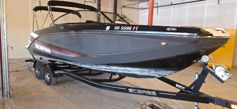 Slide: The Image of Scarab 255 2018 - 6