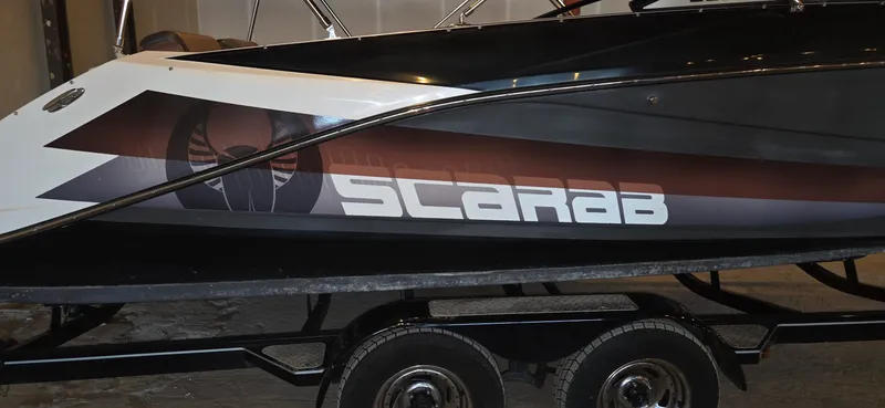 Slide: The Image of Scarab 255 2018 - 7