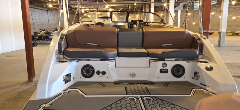 Slide: The Image of Scarab 255 2018 - 8