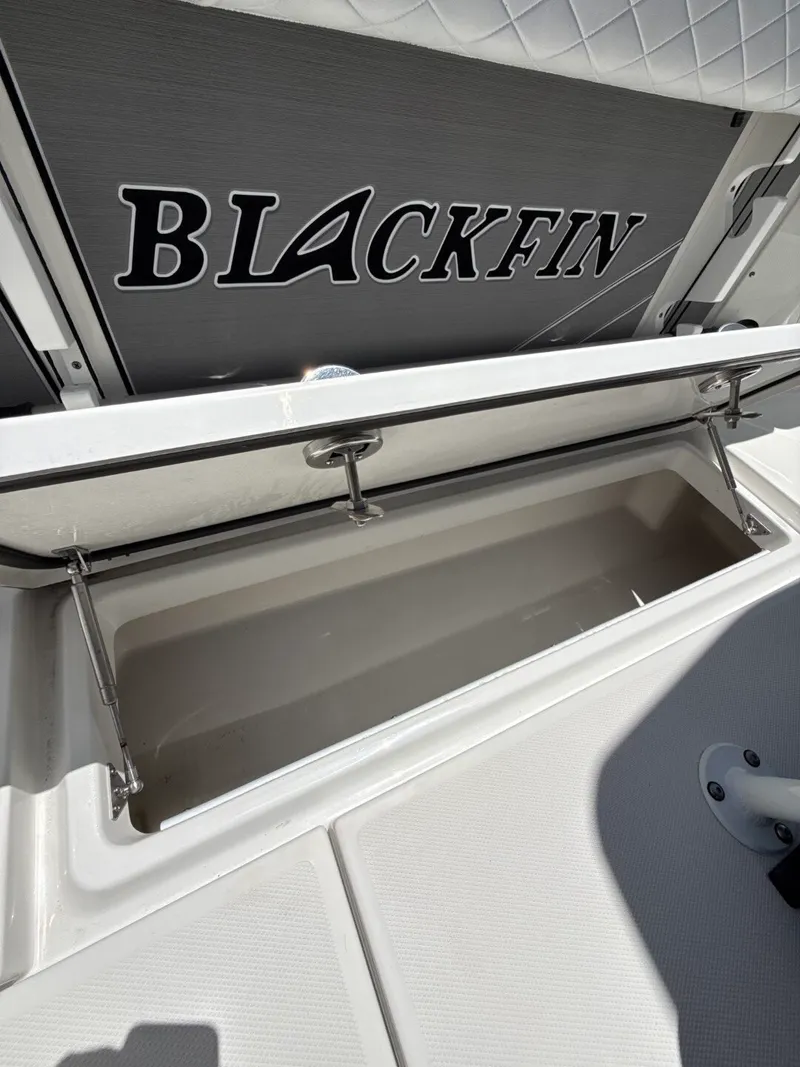 Slide: The Image of Blackfin 252CC 2022 - 32