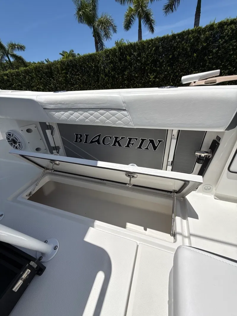 Slide: The Image of Blackfin 252CC 2022 - 33