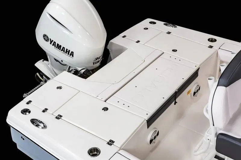 Slide: The Image of Robalo 246 Cayman 2020 - 15