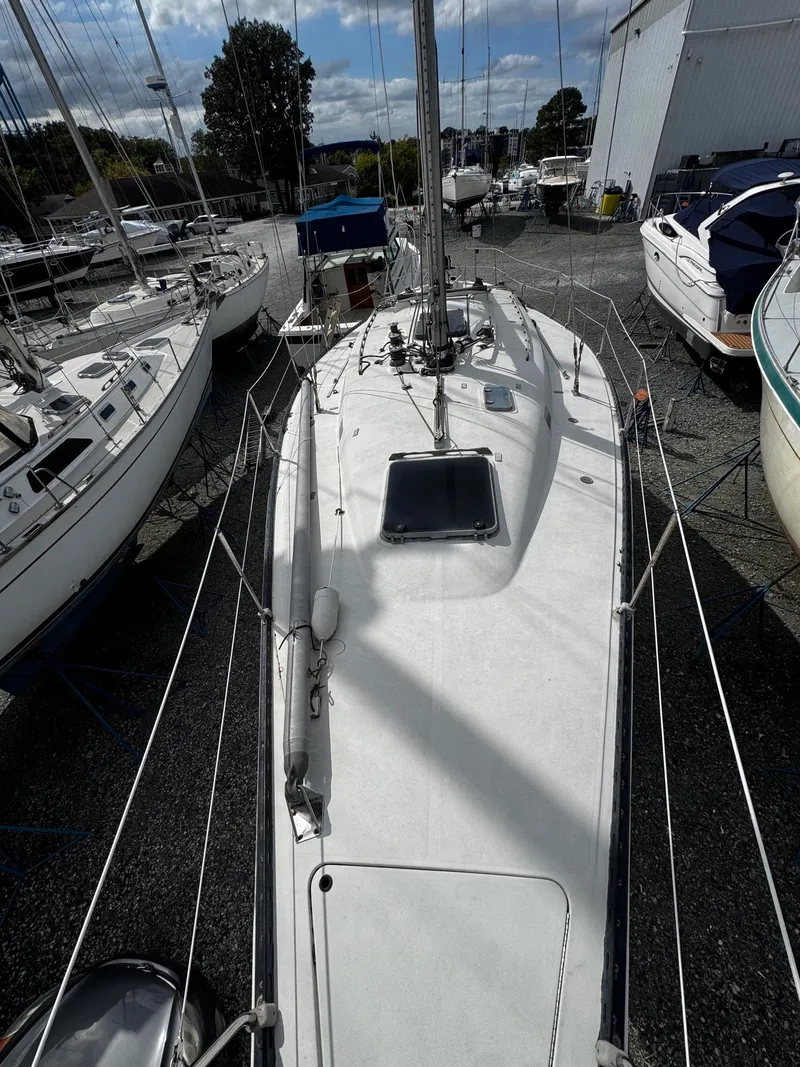 The Image of C&C Yachts 40 Tall Rig Deep Keel 1981 - 0