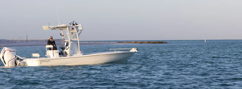 The Image of Yellowfin 24 CE 2027 - 0