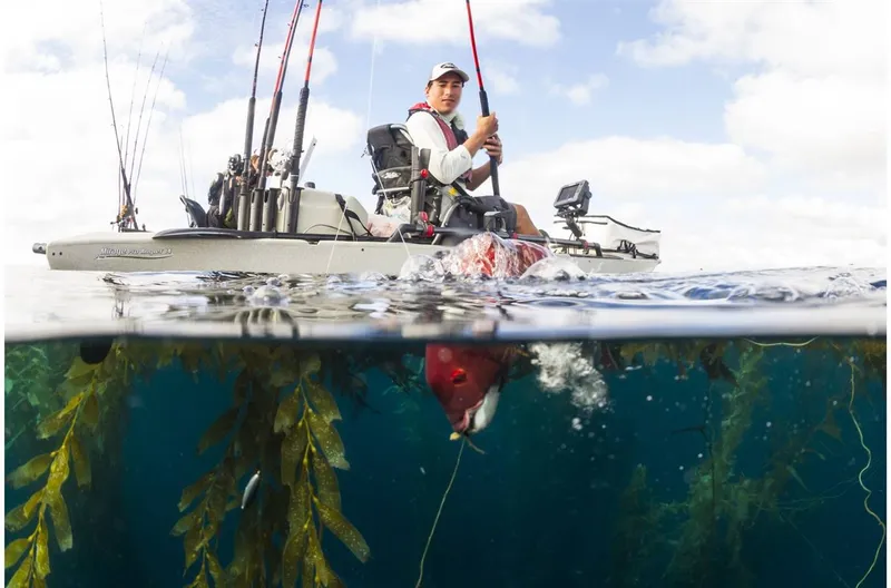 Slide: The Image of Hobie Mirage Pro Angler 14 2017 - 4