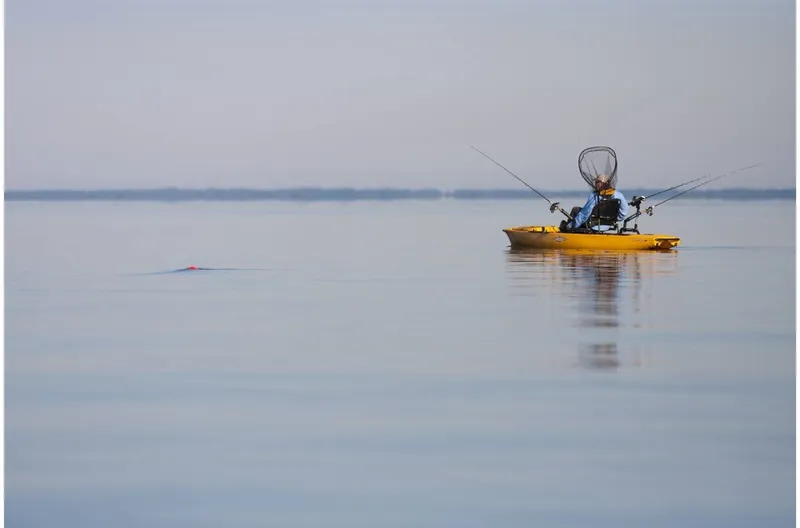 Slide: The Image of Hobie Mirage Pro Angler 14 2017 - 7