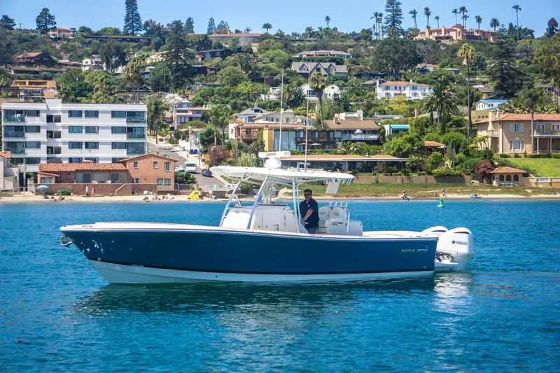 Slide: The Image of Regulator Marine 31 2019 - 10