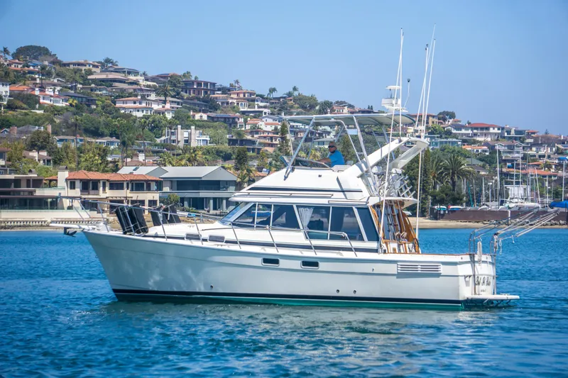 The Image of Bayliner 3288 Motoryacht 1989 - 10