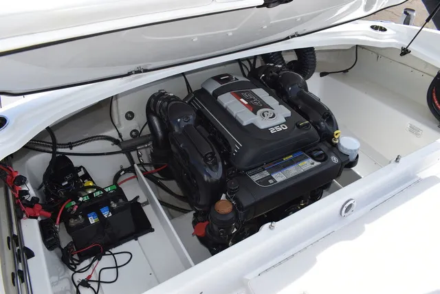 Slide: The Image of Tahoe® 210 SI 2023 - 31