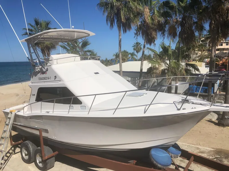 Slide: The Image of Cabo Convertible 2006 - 4