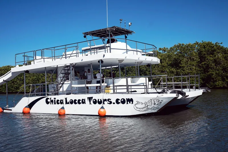 The Image of Commerical Commercial Catamaran 55' 2019 - 0