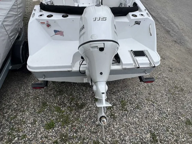 Slide: The Image of Stingray 172DC 2026 - 1
