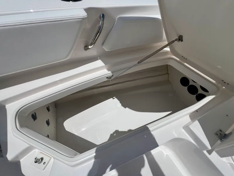 Slide: The Image of Robalo 246 Cayman 2026 - 23