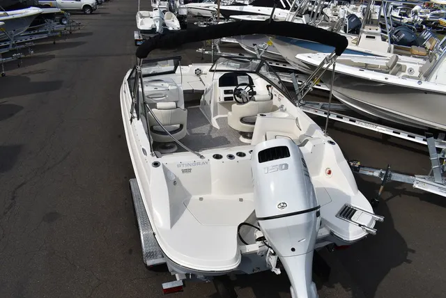 Slide: The Image of Stingray 201DC 2024 - 5