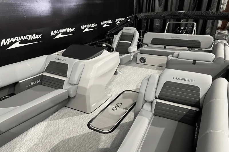 Slide: The Image of Harris Solstice 230 2024 - 17