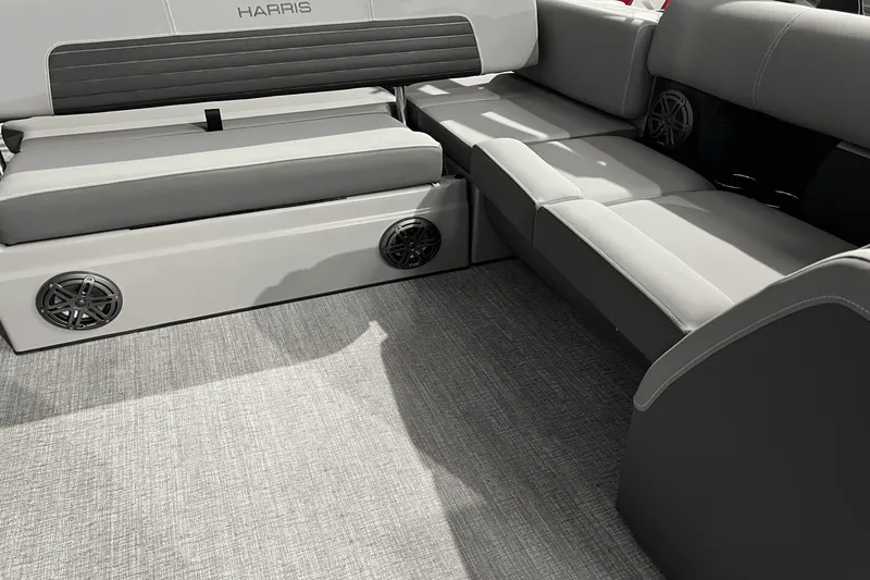 Slide: The Image of Harris Solstice 230 2024 - 18