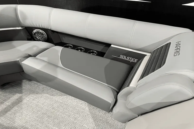 Slide: The Image of Harris Solstice 230 2024 - 19