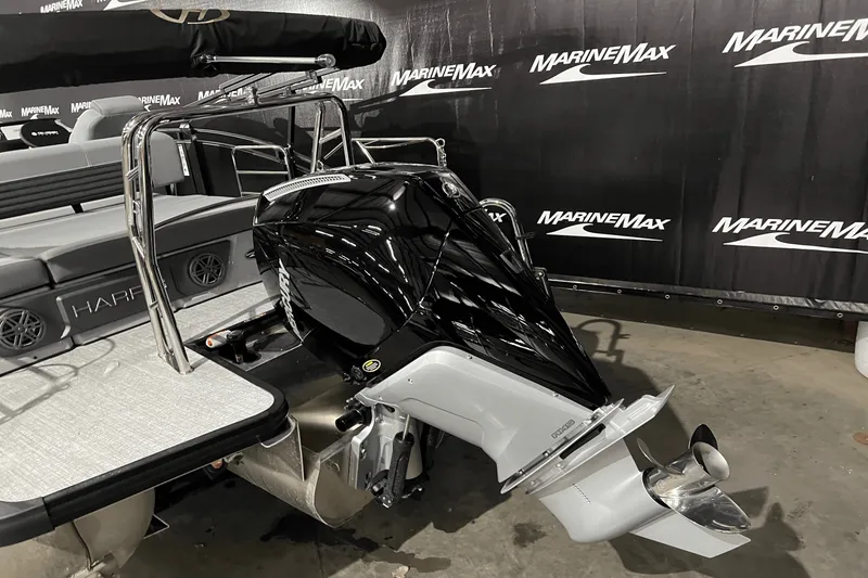 Slide: The Image of Harris Solstice 230 2024 - 4