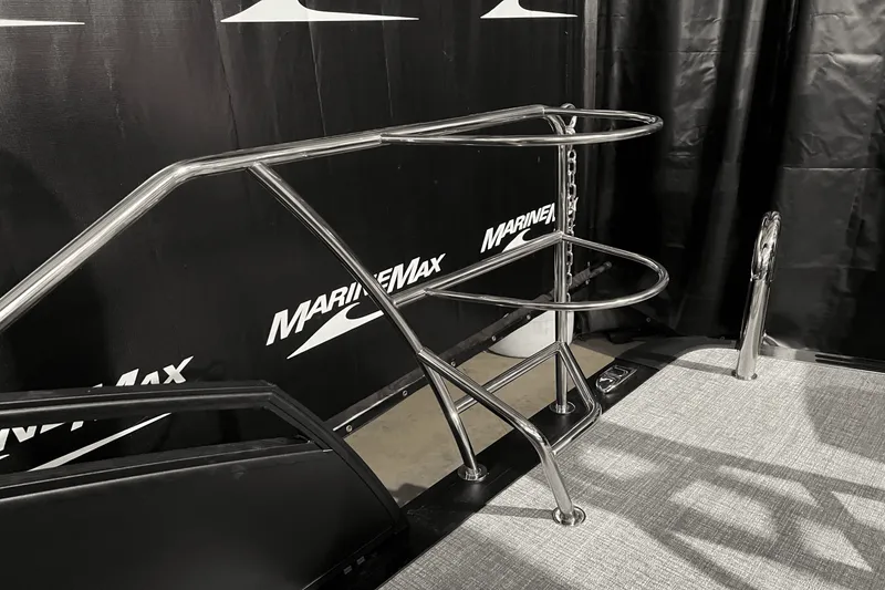 Slide: The Image of Harris Solstice 230 2024 - 5