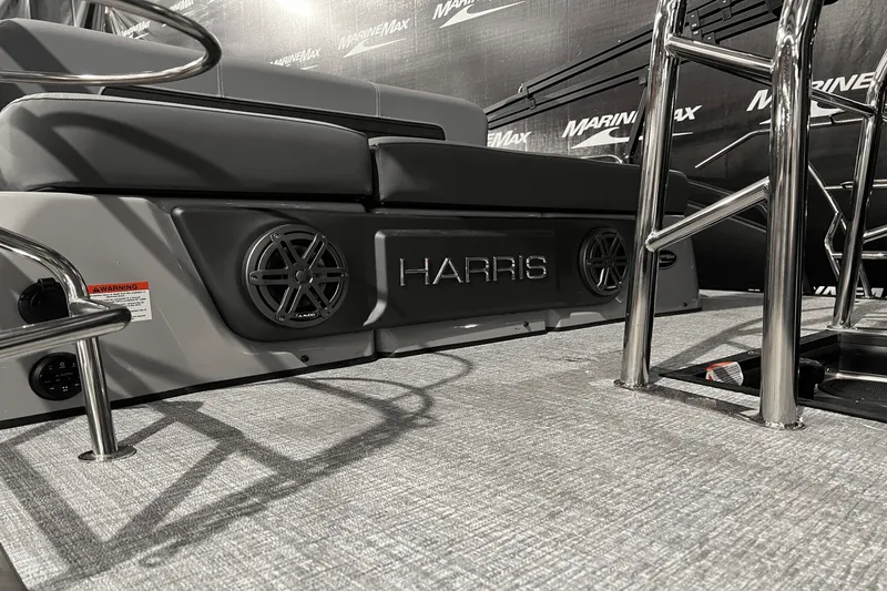 Slide: The Image of Harris Solstice 230 2024 - 6