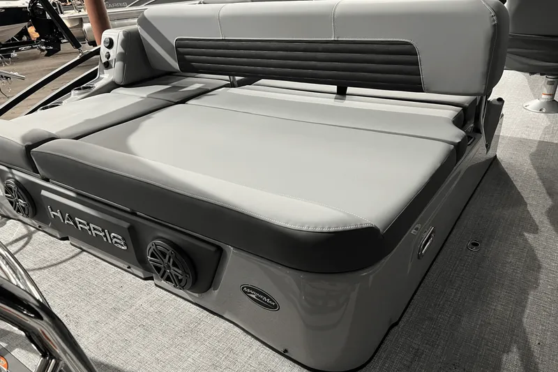 Slide: The Image of Harris Solstice 230 2024 - 8