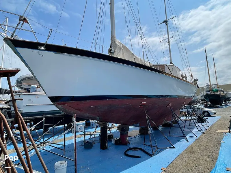 Slide: The Image of New hull paint Aug 2021 - 9317773