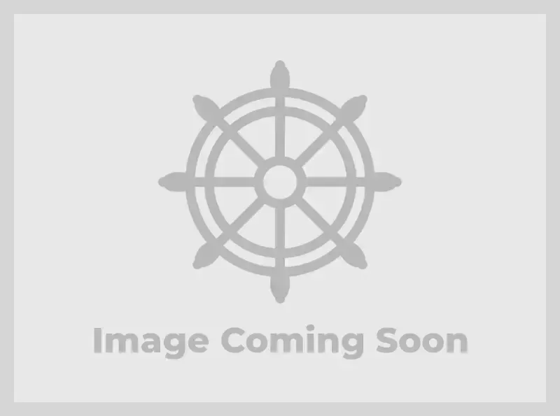 The Image of Starcraft SLS3 QDH 2027 - 0