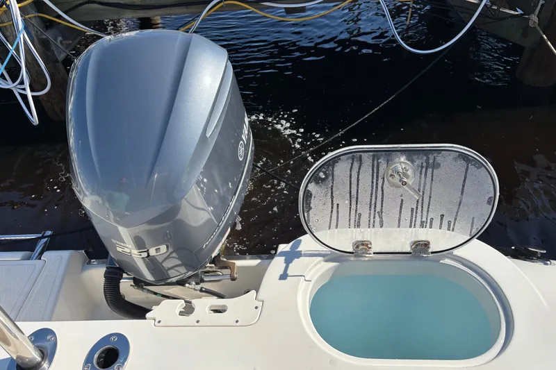 Slide: The Image of Sailfish 245 DC 2018 - 25