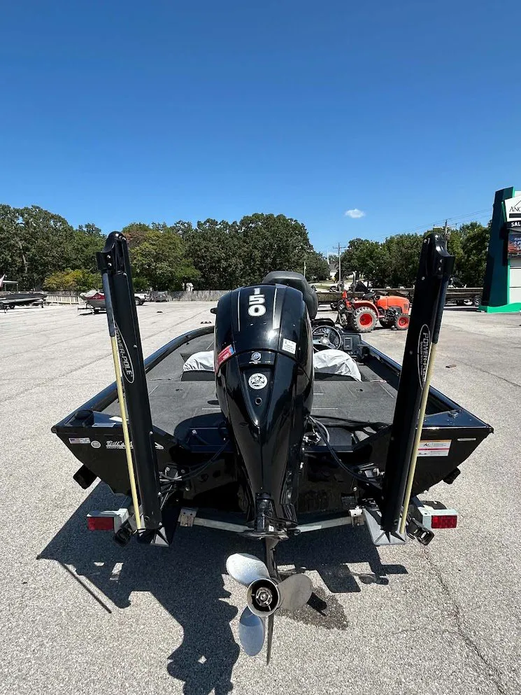 Slide: The Image of Lowe Stinger 2017 - 5