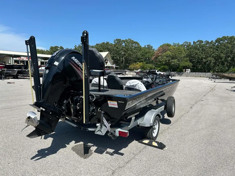 Slide: The Image of Lowe Stinger 2017 - 4