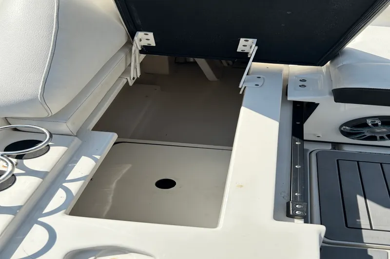 Slide: The Image of Sea Ray 250 SDX OUTBOARD 2019 - 7