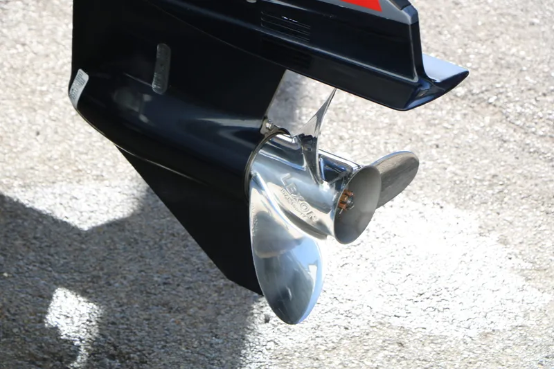 Slide: The Image of Sylvan Mirage X3 Party Fish Tri Toon 2023 - 12