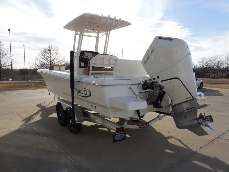 Slide: The Image of Robalo 246 Cayman 2026 - 3