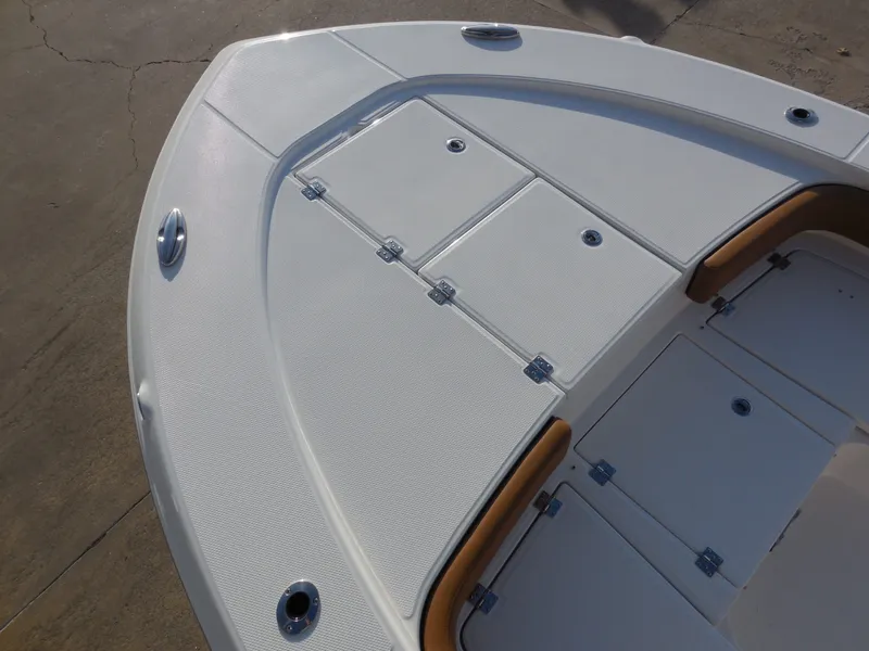 Slide: The Image of Robalo 246 Cayman 2026 - 9