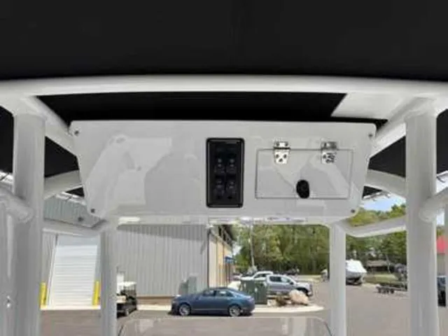 Slide: The Image of Stingray 216CC 2026 - 3