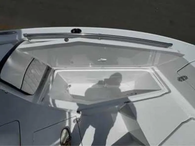 Slide: The Image of Stingray 216CC 2026 - 4