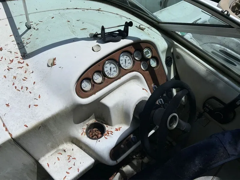 Slide: The Image of Monterey 242 CRUISER 2000 - 4