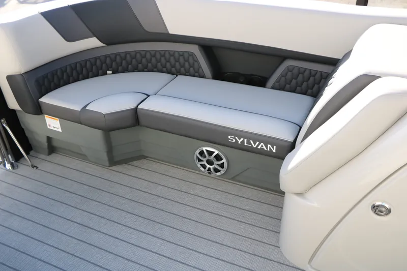 Slide: The Image of Sylvan L3 DLZ Tri-Toon 2026 - 29