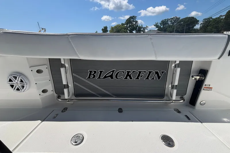 Slide: The Image of Blackfin 242 CC 2020 - 34